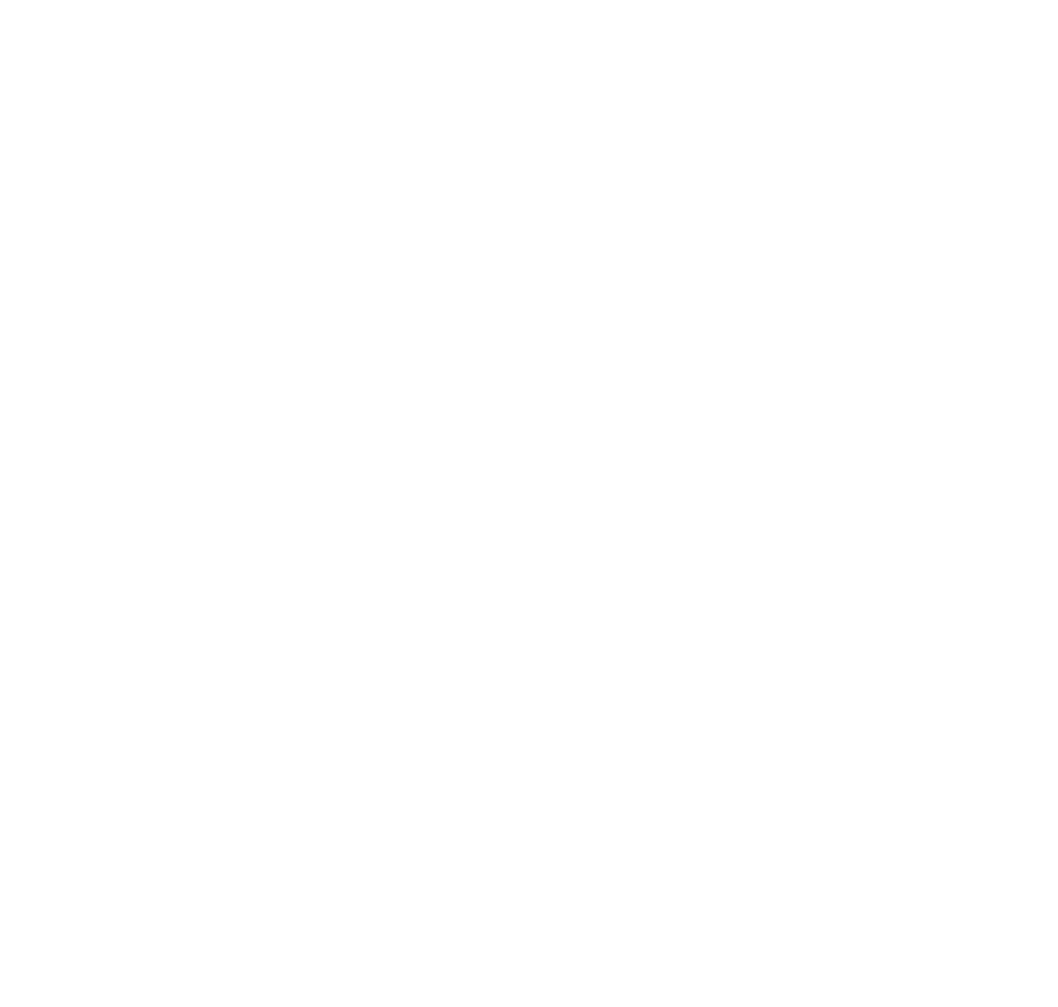 Amy Choi Realty