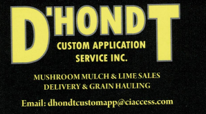 D'Hondt Custom Application Services Inc.